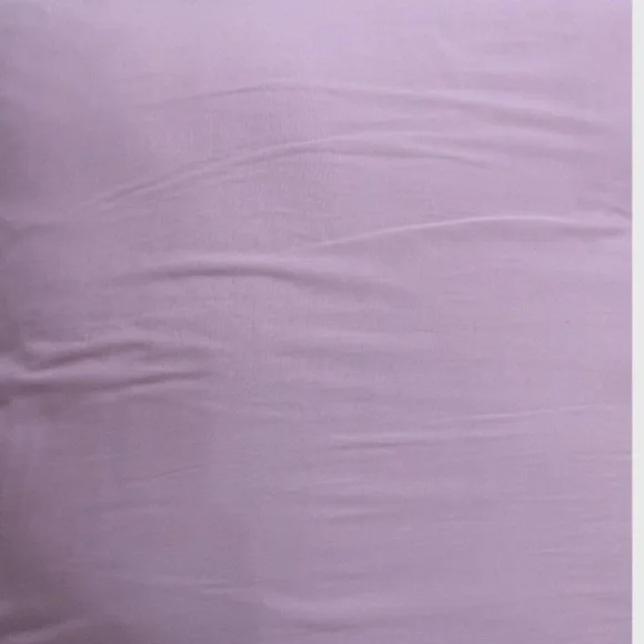 Anthropologie Euro Pillows - set of 2